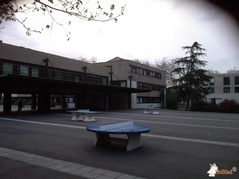 Foyer-Socio Éducatif du collège du Cédre du Vésinet (78110) de Le Vesinet