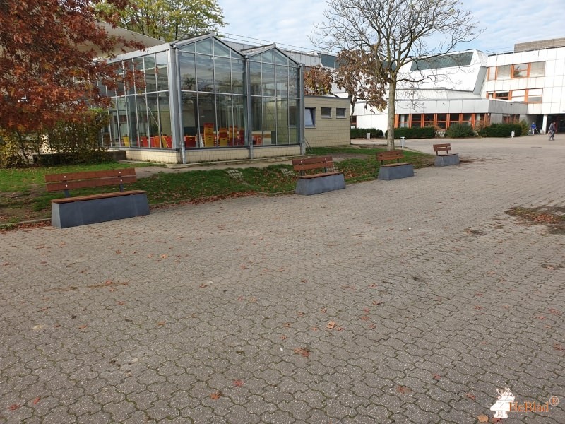 Gymnasium Horkesgath aus Krefeld