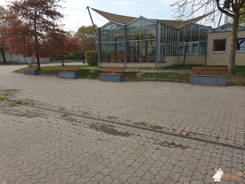 Gymnasium Horkesgath aus Krefeld