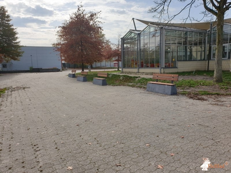 Gymnasium Horkesgath aus Krefeld