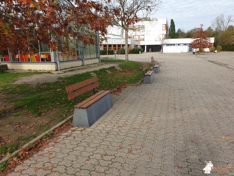 Gymnasium Horkesgath aus Krefeld