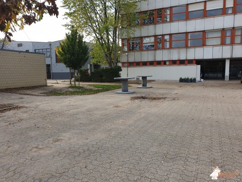 Gymnasium Horkesgath aus Krefeld