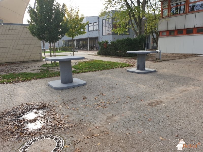Gymnasium Horkesgath aus Krefeld