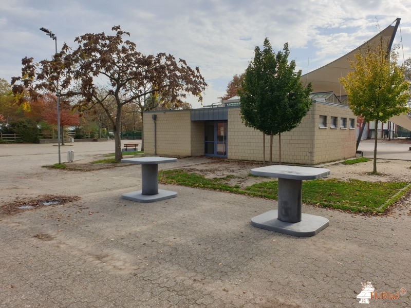 Gymnasium Horkesgath aus Krefeld