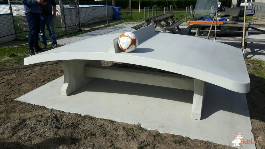 VV Zeewolde de Zeewolde