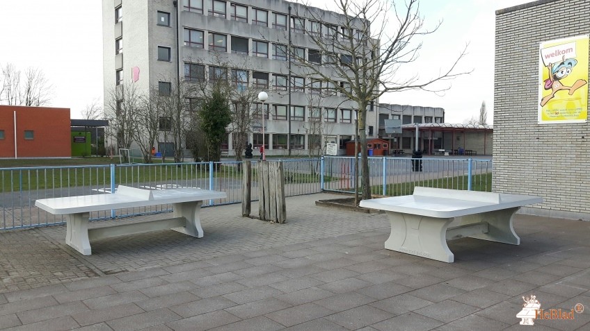 BS Erasmus aus Deinze