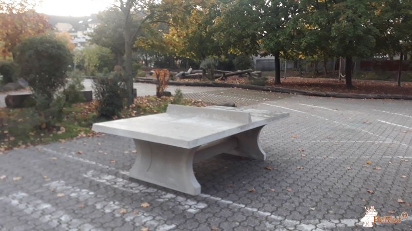 Geschwister-Scholl Realschule plus aus Germersheim