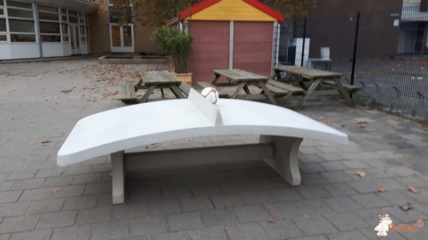 CSV, Capelse Schoolvereniging de Capelle aan den IJssel