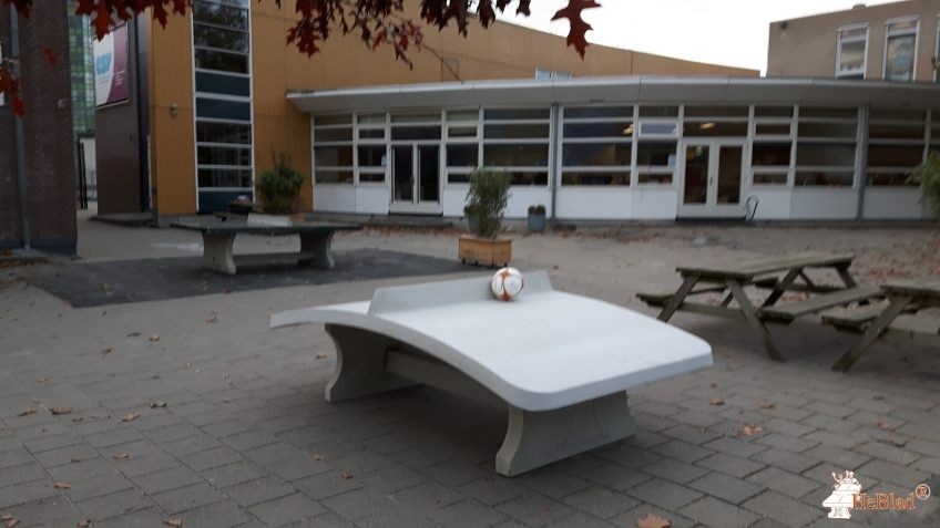 CSV, Capelse Schoolvereniging de Capelle aan den IJssel