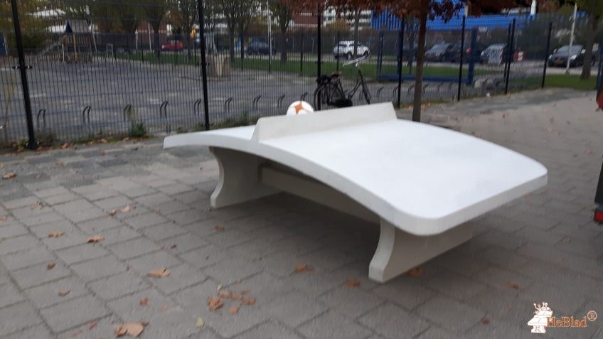 CSV, Capelse Schoolvereniging de Capelle aan den IJssel