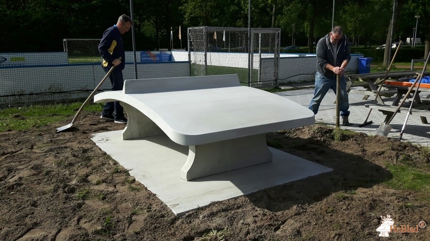 VV Zeewolde de Zeewolde