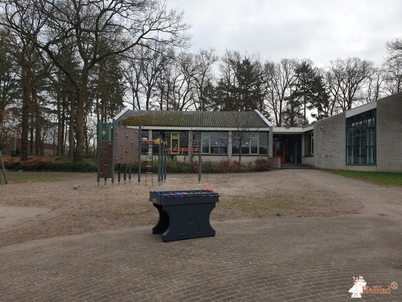 Ambelt herfte de Zwolle