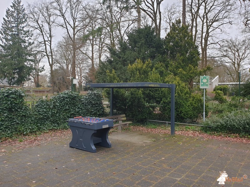 Ambelt herfte de Zwolle