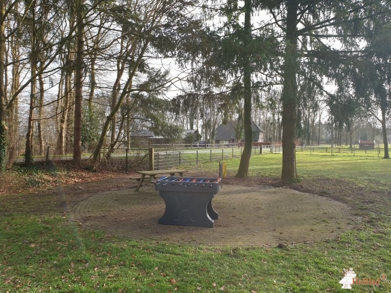 Ambelt herfte de Zwolle