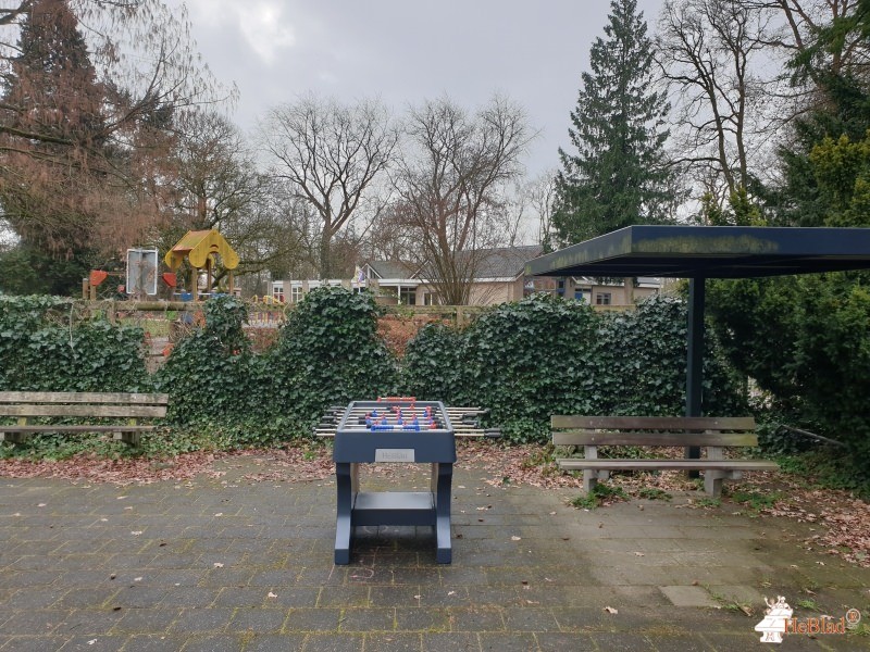 Ambelt herfte de Zwolle