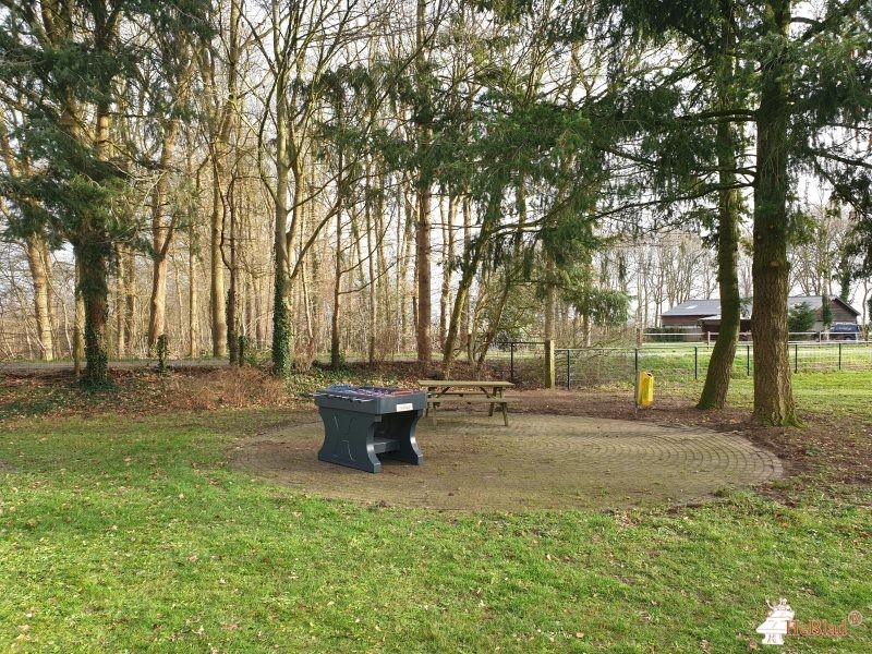 Ambelt herfte de Zwolle