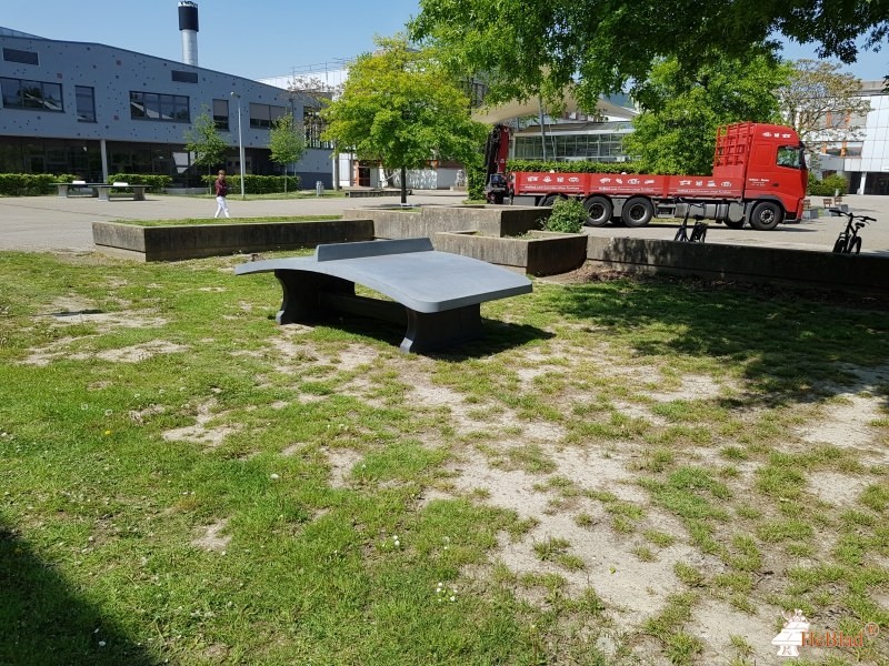 Realschule Horkesgath aus Krefeld