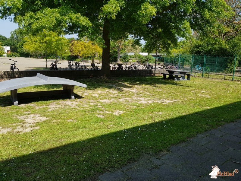 Verein der Freunde und Förderer  des Gymnasiums Horkesgath aus Krefeld