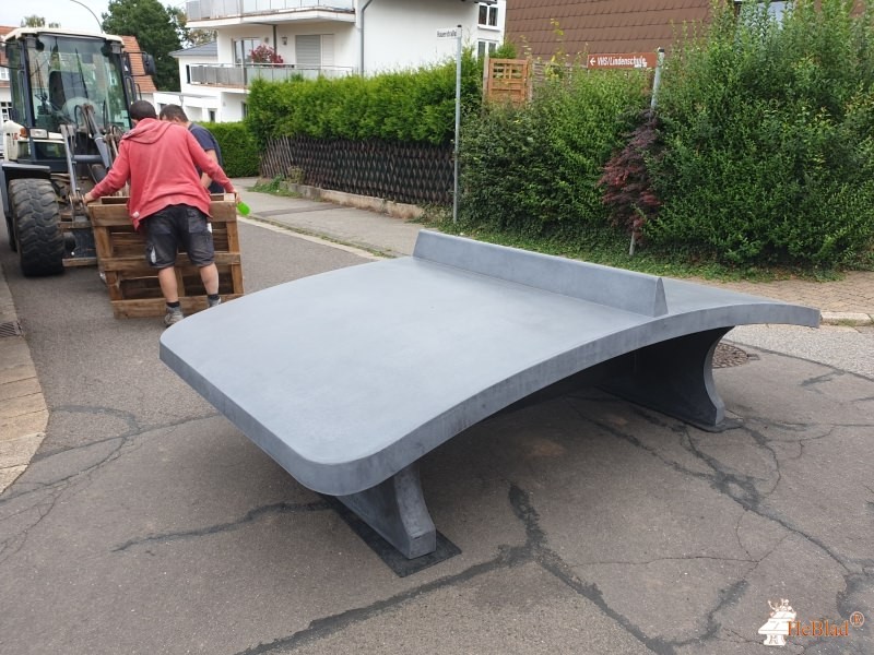 Leonardo-da-Vinci-Schule aus Riegelsberg