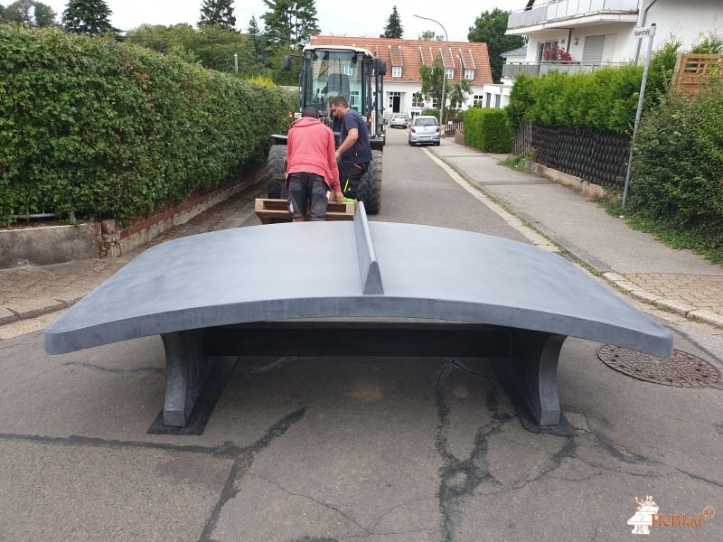 Leonardo-da-Vinci-Schule aus Riegelsberg