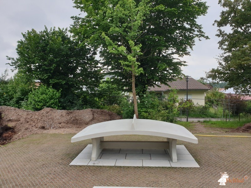 Karl-Stirner-Schule Rosenberg de Rosenberg