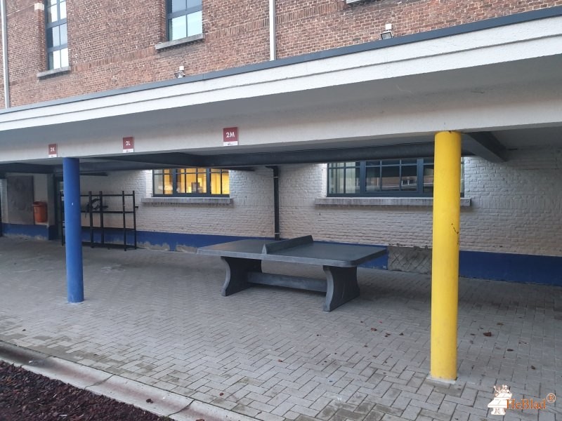 Middenschool van het GO! Halle de Halle