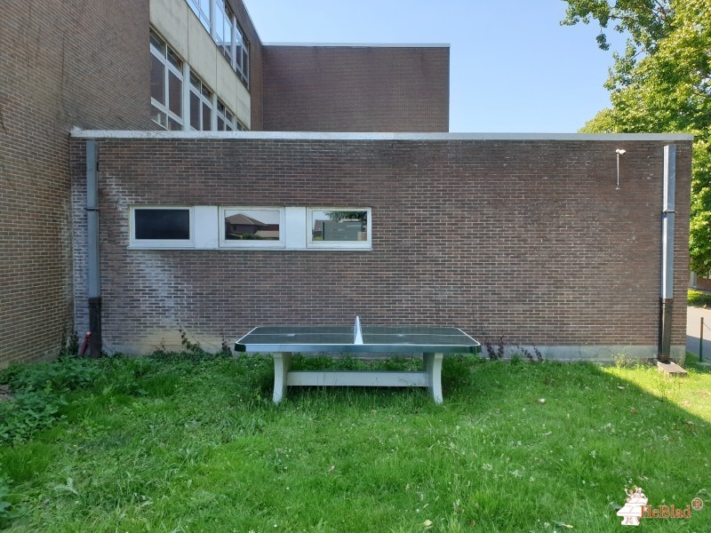 GO! BS Vijverbeek aus Asse