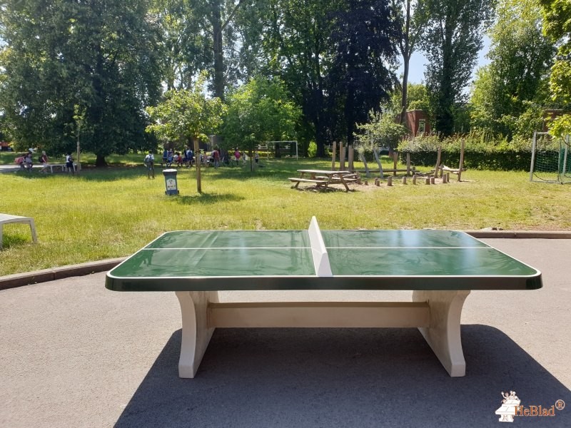 GO! BS Vijverbeek aus Asse