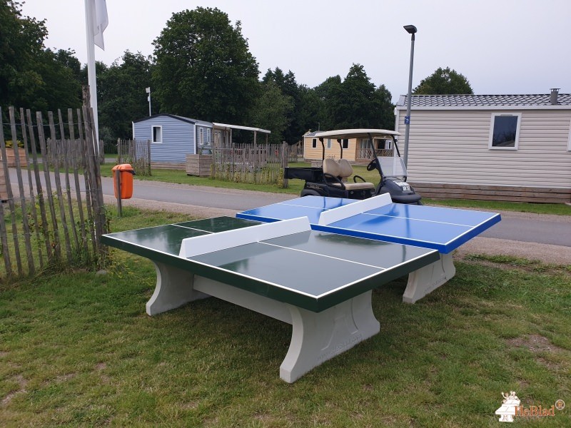 Camping Borken am See de Borken (DLD)