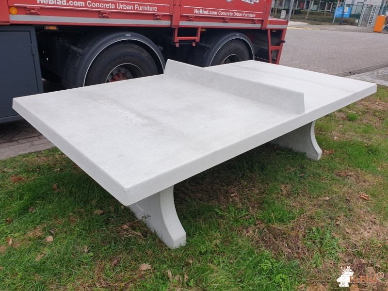 Thermo Fisher Scientific de Geel