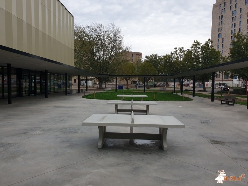 GO! Next sportschool Hasselt aus Hasselt