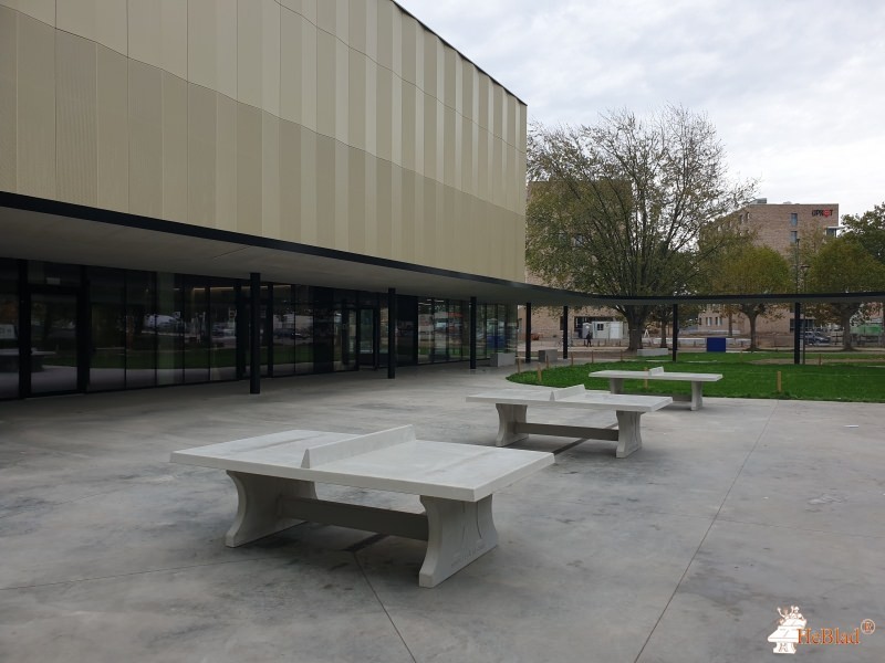 GO! Next sportschool Hasselt aus Hasselt