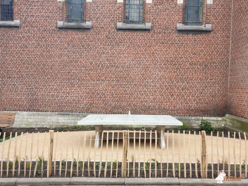 Buurtplantsoen Kerkstraat Kessel-Lo (naast H.Hartkerk) de Kessel-Lo Leuven