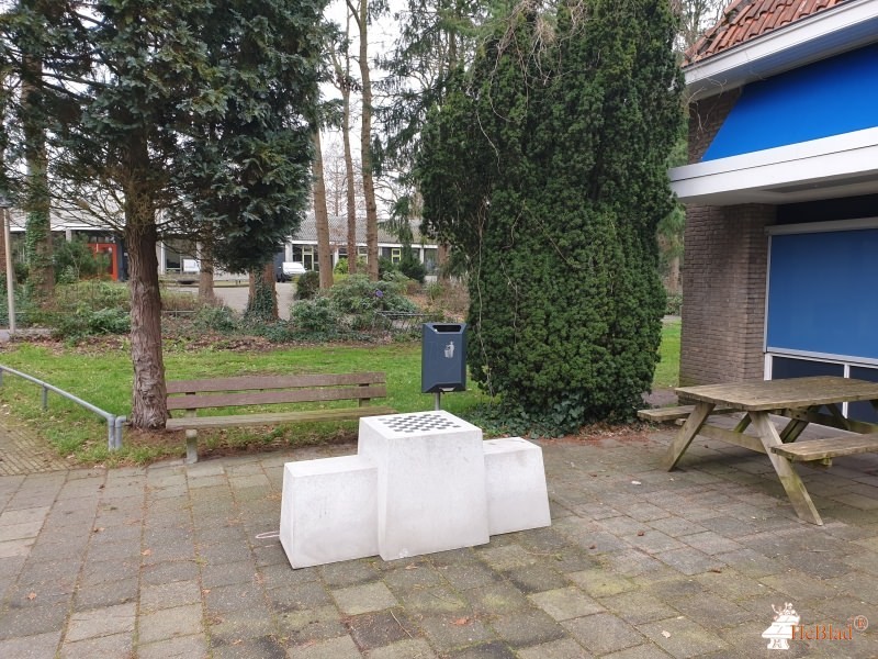 Ambelt herfte aus Zwolle