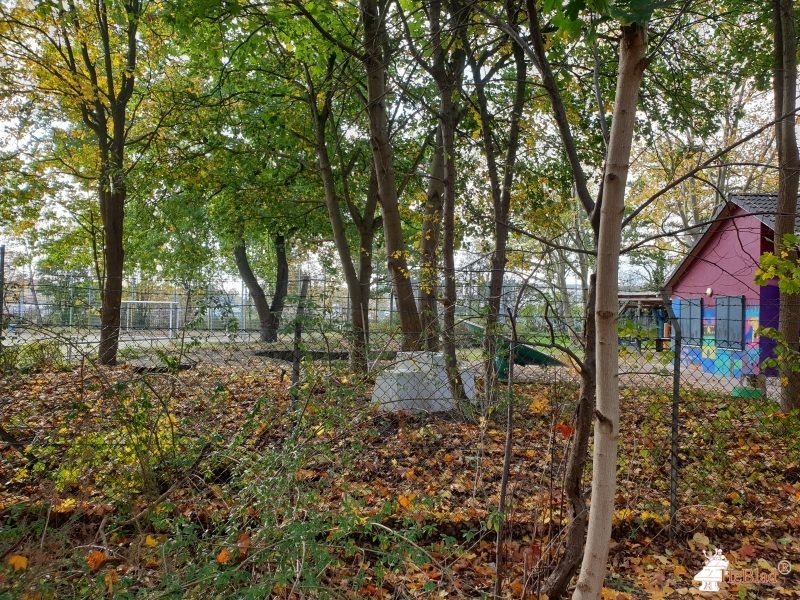 Abenteuerspielplatz Linse (beim Fußballfeld) aus Hamburg