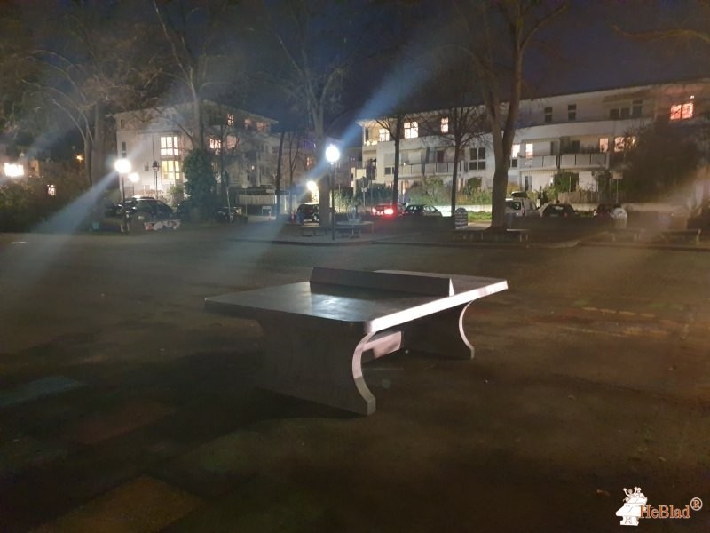 Max-Planck-Gymnasium Nürtingen aus Nürtingen