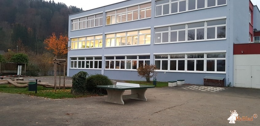 Martin - Gerbert - Gymnasium aus Horb a.N.