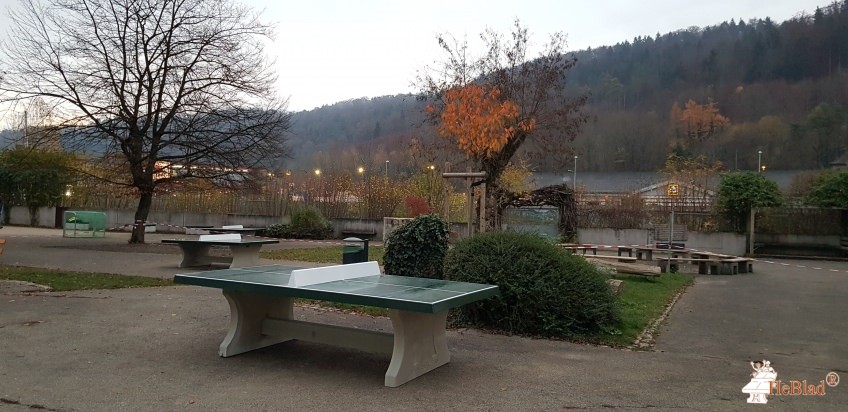 Martin - Gerbert - Gymnasium aus Horb a.N.