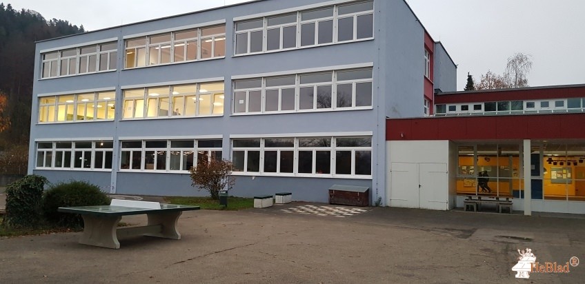 Martin - Gerbert - Gymnasium aus Horb a.N.