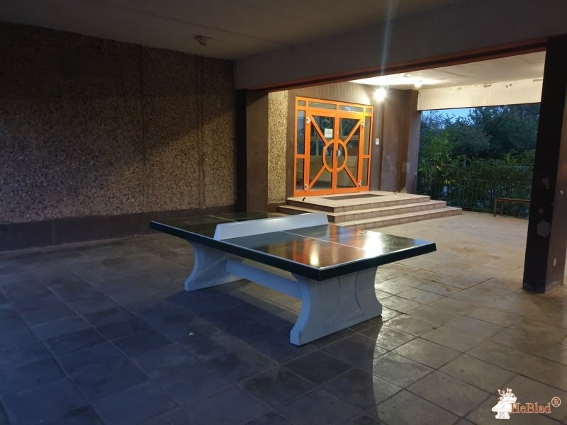 Makarenkoschule Magdeburg, Förderschule mit Ausgleichsklassen aus Magdeburg