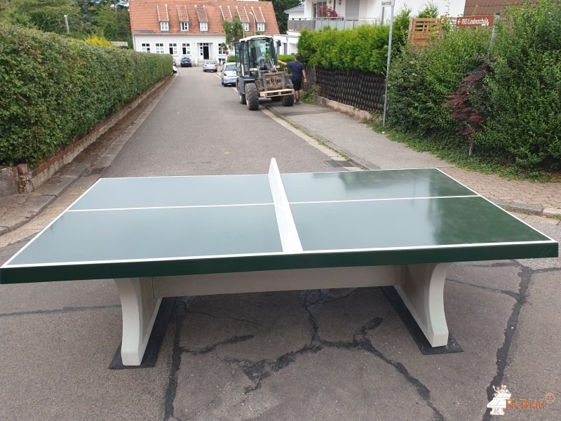 Leonardo-da-Vinci-Schule aus Riegelsberg