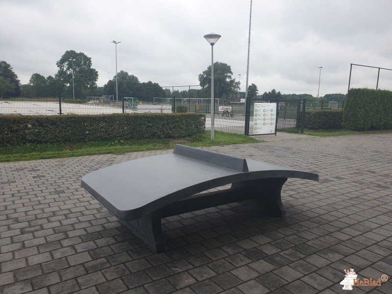 vv Arnhemse Boys Schuytgraaf de Arnhem