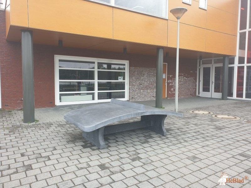 vv Arnhemse Boys Schuytgraaf de Arnhem