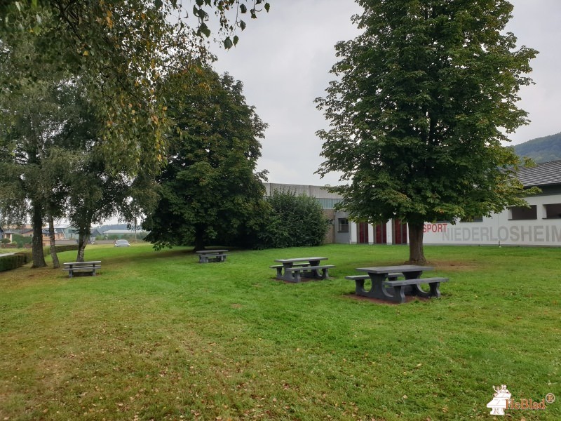 Schule am Kappwald aus Niederlosheim