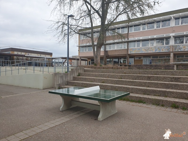 Friedrich-Boysen-Realschule Altensteig de Altensteig