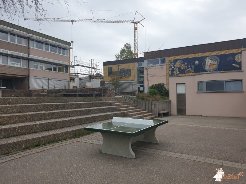 Friedrich-Boysen-Realschule Altensteig aus Altensteig