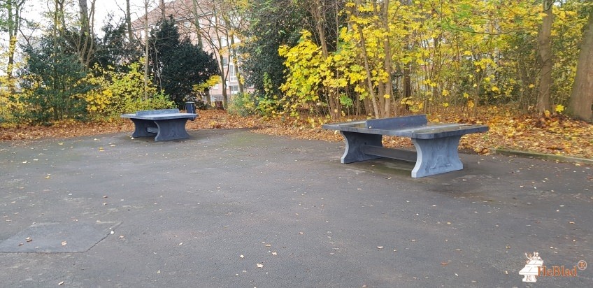 Schule Falkenfeld de Lübeck