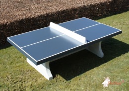 Table de ping-pong anthracite