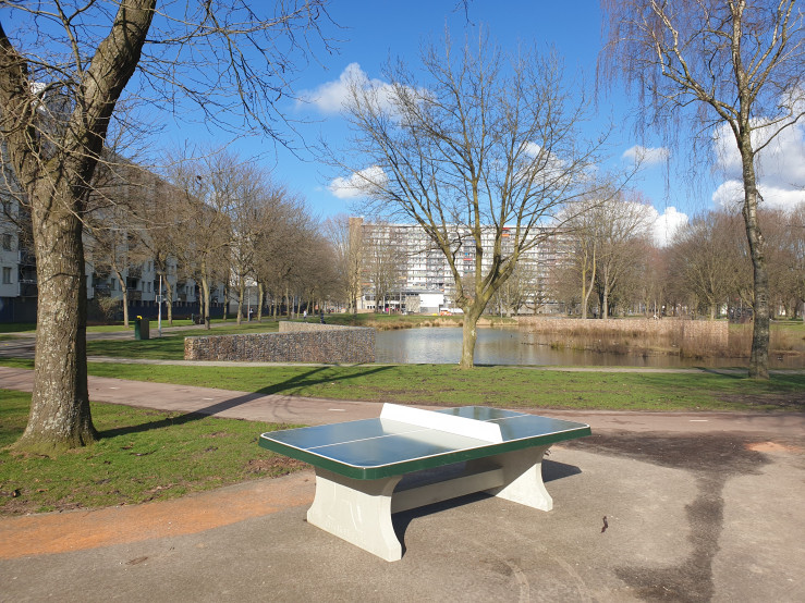 Table de ping-pong verte, angles arrondis