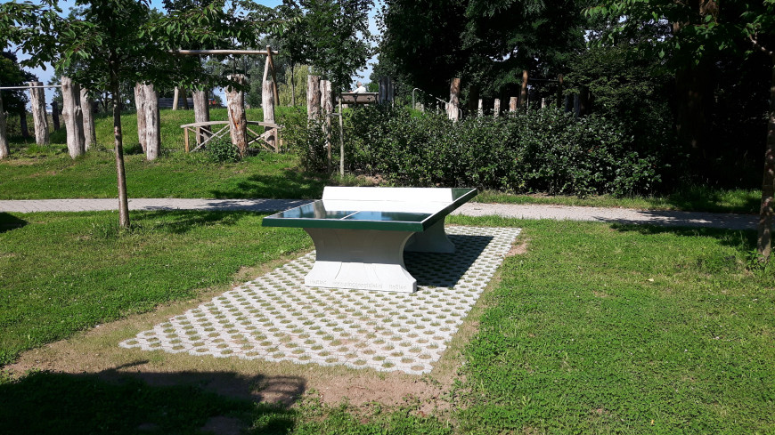 table de ping-pong verte